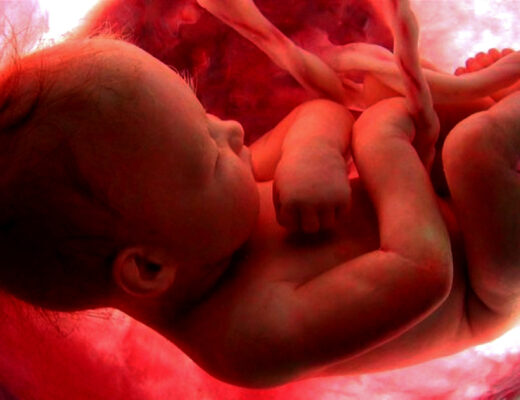 El aborto fue la principal causa mundial de muerte en 2024 con más de 45 millones de muertos (alertadigital.com).