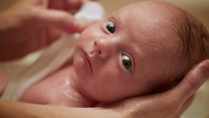 El aborto fue la principal causa mundial de muerte en 2024 con más de 45 millones de muertos (alertadigital.com).