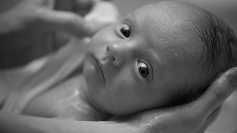 El aborto fue la principal causa mundial de muerte en 2024 con más de 45 millones de muertos (alertadigital.com).