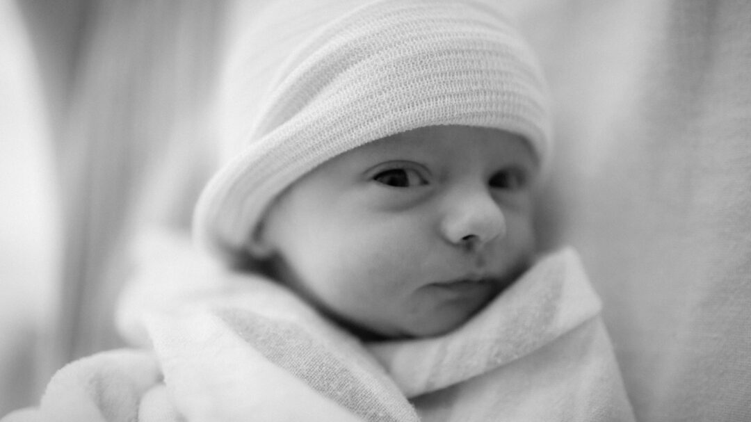 El aborto fue la principal causa mundial de muerte en 2024 con más de 45 millones de muertos (alertadigital.com).